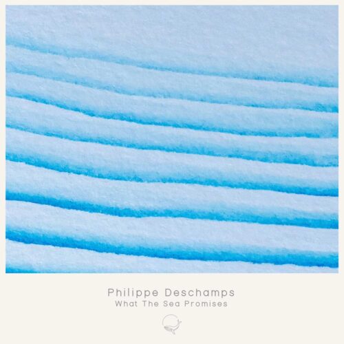 Artwork of What the Sea Promises Album